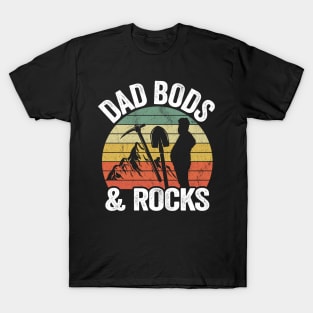 Dad Bods & Rocks Rock Collector Daddy Retro Funny Geologist T-Shirt